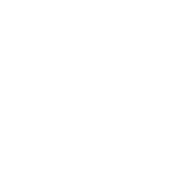 Smart Contract Development