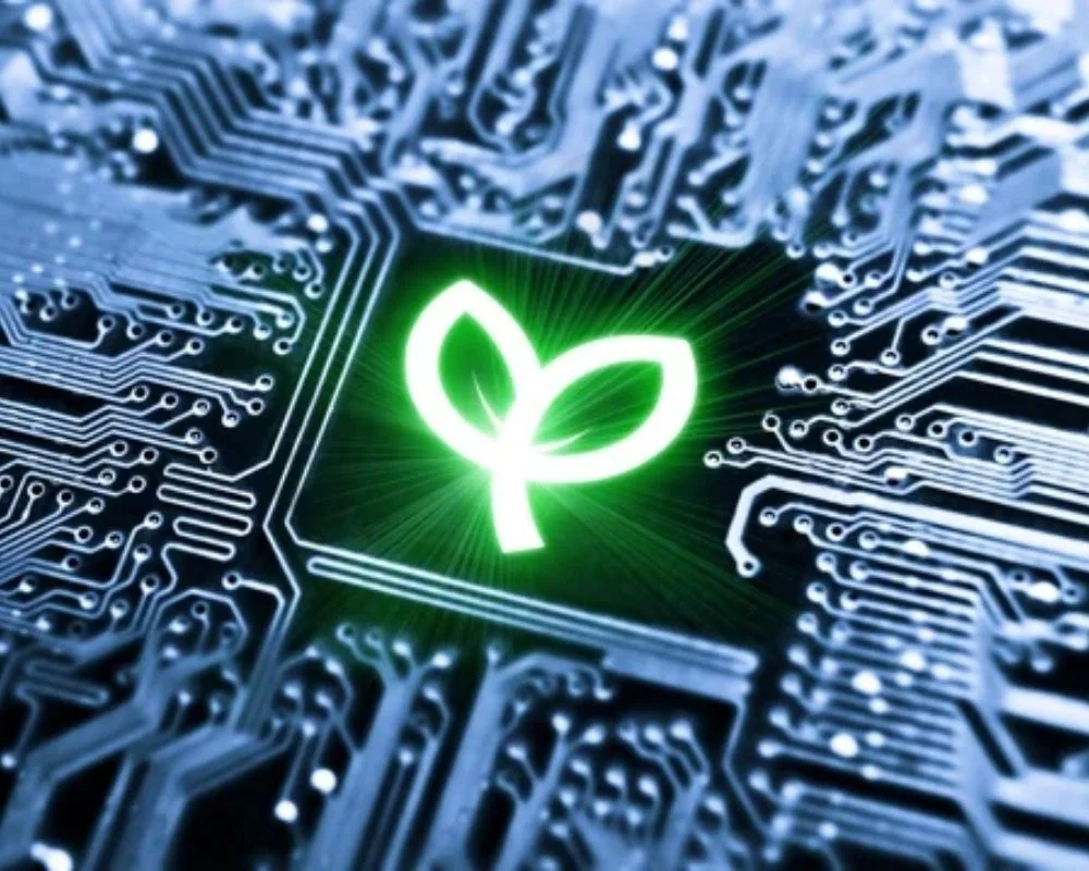 Modern Enterprises: Why Green IT is the Key to Sustainable Development?