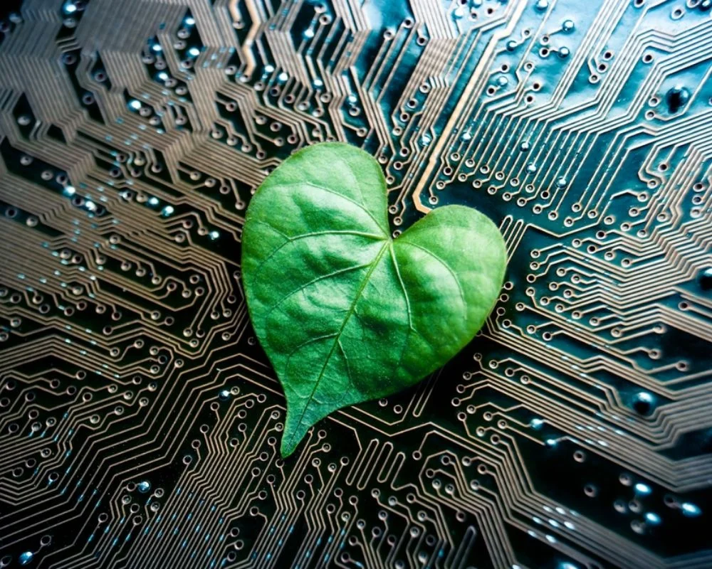 A sustainable direction in technology and business development – Green IT.