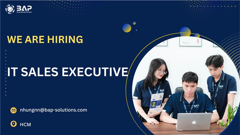 IT SALES EXECUTIVE